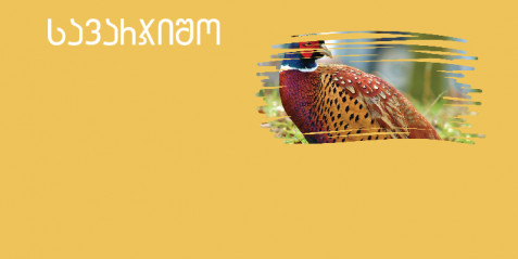 კოლხური ხოხობი  - შემეცნებითი ტექსტის გააზრება