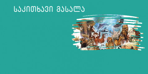 ყველაფერი ცხოველების შესახებ