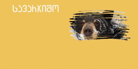 ზამთრის ძილის მოყვარულები   - შემეცნებითი ტექსტის გააზრება