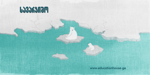 ყველაფერი არქტიკის შესახებ