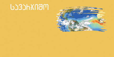 კლიმატის ცვლილება   - შემეცნებითი ტექსტის გააზრება