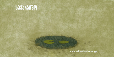 ჭაობები – მწვანე საუნჯე და ბუნების ჩუმი მცველები