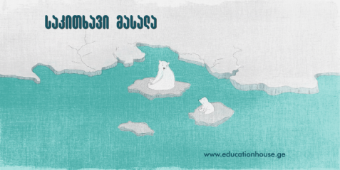 ყველაფერი არქტიკის შესახებ