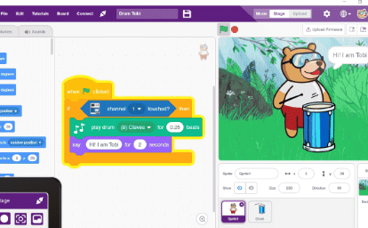მიკროკონტროლერის პროგრამირება