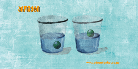 პროექტი 11 : სხვადასხვა ტიპის სარეცხი საშუალებების ეფექტურობის შესწავლა სახვადასხვა ტემპერატურაზე