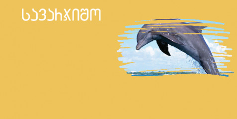 დელფინი და ზვიგენი  - შემეცნებითი ტექსტის გააზრება