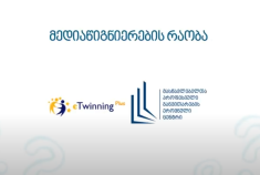 მედიაწიგნიერების რაობა