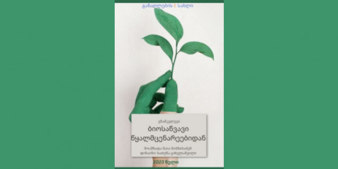 ბიოსაწვავი წყალმცენარეებიდან - გზამკვლევი