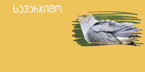 გუგული  - შემეცნებითი ტექსტის გააზრება