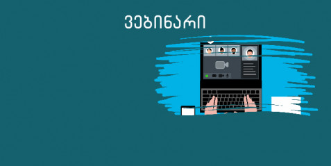 სპეციალური მასწავლებლის პორტფოლიო