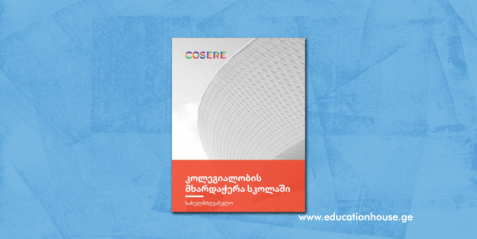 კოლეგიალობის მხარდაჭერა სკოლაში