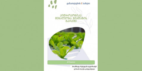 ჰიდროპონიკა: მებაღეობა ნიადაგის გარეშე