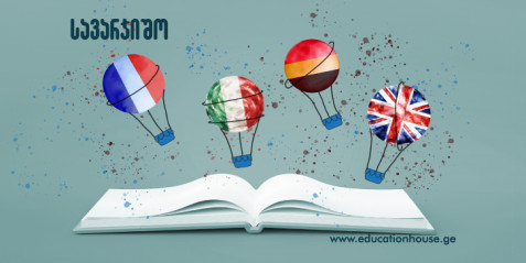 სინქრონული მთარგმნელი და თუთიყუში