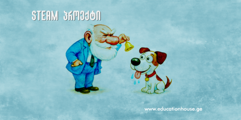 ᲞᲘᲠᲝᲑᲘᲗᲘ ᲠᲔᲤᲚᲔᲥᲡᲔᲑᲘ