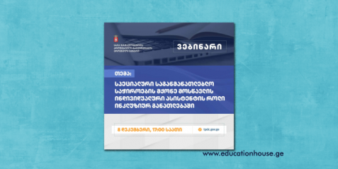 სპეციალური საგანმანათლებლო საჭიროების მქონე მოსწავლის ინდივიდუალური ასისტენტის როლი ინკლუზიურ განათლებაში