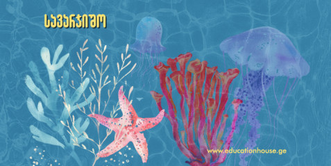 დიდი ბარიერული რიფი  - ბუნების საოცრება