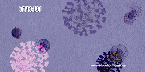 პროექტი 8 : ბიოდეგრადირებადი შესაფუთი მასალის დამზადება და მისი თვისებების შესწავლა