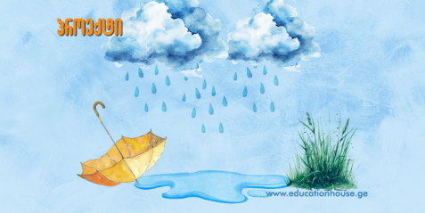 შესაძლებელია თუ არა , წყალდიდობასა და გარემოს დაბინძურებას ებრძოლო... ბაღით?!