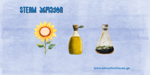 ᲑᲘᲝᲓᲘᲖᲔᲚᲘᲡ ᲡᲘᲜᲗᲔᲖᲘᲡ ᲛᲔᲗᲝᲓᲘᲡ ᲛᲝᲓᲘᲤᲘᲪᲘᲠᲔᲑᲐ ᲓᲐ ᲗᲔᲠᲛᲝᲓᲘᲜᲐᲛᲘᲙᲣᲠᲘ ᲗᲕᲘᲡᲔᲑᲔᲑᲘ