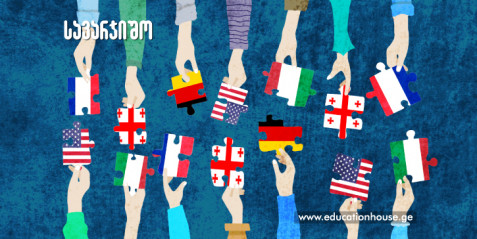 ზედსართავისა და არსებითი სახელების სქესი - თამაში