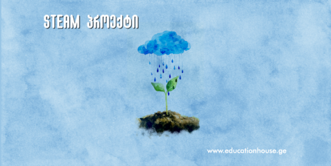 ᲡᲘᲜᲐᲗᲚᲘᲡ ᲡᲞᲔᲥᲢᲠᲘᲡ ᲓᲐ ᲢᲔᲜᲘᲐᲜᲝᲑᲘᲡ ᲒᲐᲕᲚᲔᲜᲐ ᲪᲝᲪᲮᲐᲚ ᲝᲠᲒᲐᲜᲘᲖᲛᲔᲑᲖᲔ