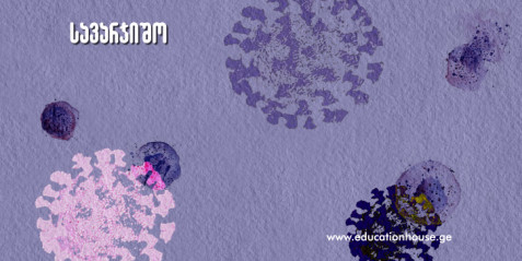 რატომ აქვთ უჯრედებს მცირე ზომა?