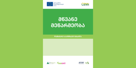 მწვანე მეწარმეობა