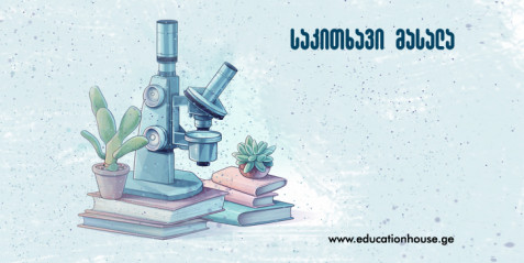 მზის ყვავილი