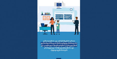 განათლებისა და ტრენინგების გზით დეზინფორმაციის წინააღმდეგ ბრძოლისა და ციფრული წიგნიერების გავრცელების გზამკვლევი მასწავლებლებისა და პედაგოგებისათვის