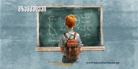 ფუნქციები და მათი სწავლების საკითხები