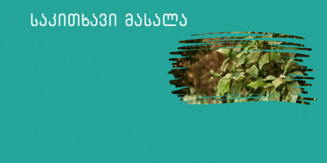 ვასწავლოთ ფოტოსინთეზი ინტერაქტიურად- გზამკვლევი