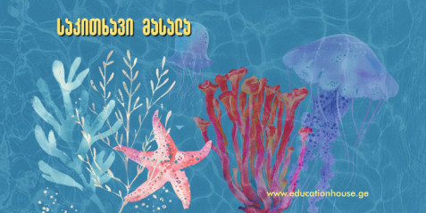 მარჯნის რიფის კრიზისი – ინტეგრირებული ქეისი