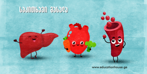 ადამიანის მომნელებელი  სისტემა