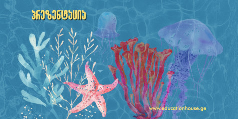 მარჯნის რიფები და დიდი ბარიერული რიფი