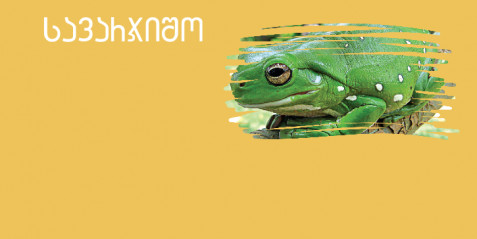 ამფიბია-  - შემეცნებითი ტექსტის გააზრება