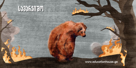 კლიმატის ცვლილების გავლენა ბიომრავალფეროვნებაზე