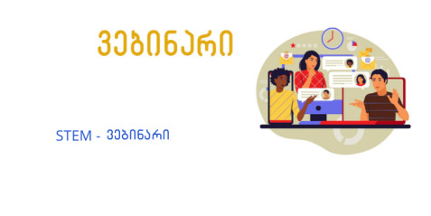 STEM - ვებინარი