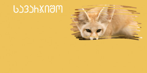 ფენეკი - მცირე ზომის საკითხავი ტექსტები