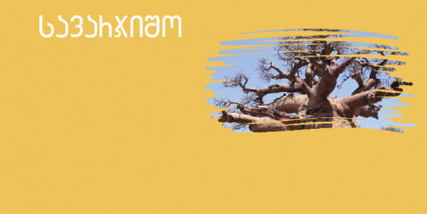 ბაობაბი  - შემეცნებითი ტექსტის გააზრება