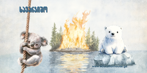 სადისკუსიო ბარათები „კლიმატური განგაში - მოქმედების დროა“